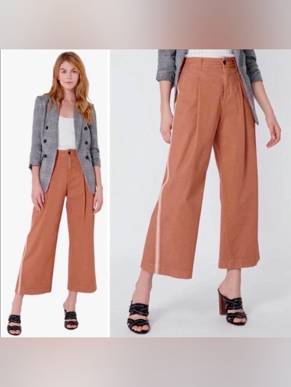 VERONICA BEARD Ryder Pleat Front Pant in Clay | Tuxedo Stripe